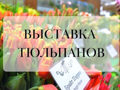 Тюльпаны в Вологде!